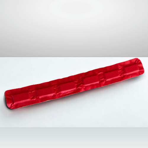 Banda Magnética Dorsal