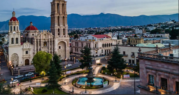 Saltillo